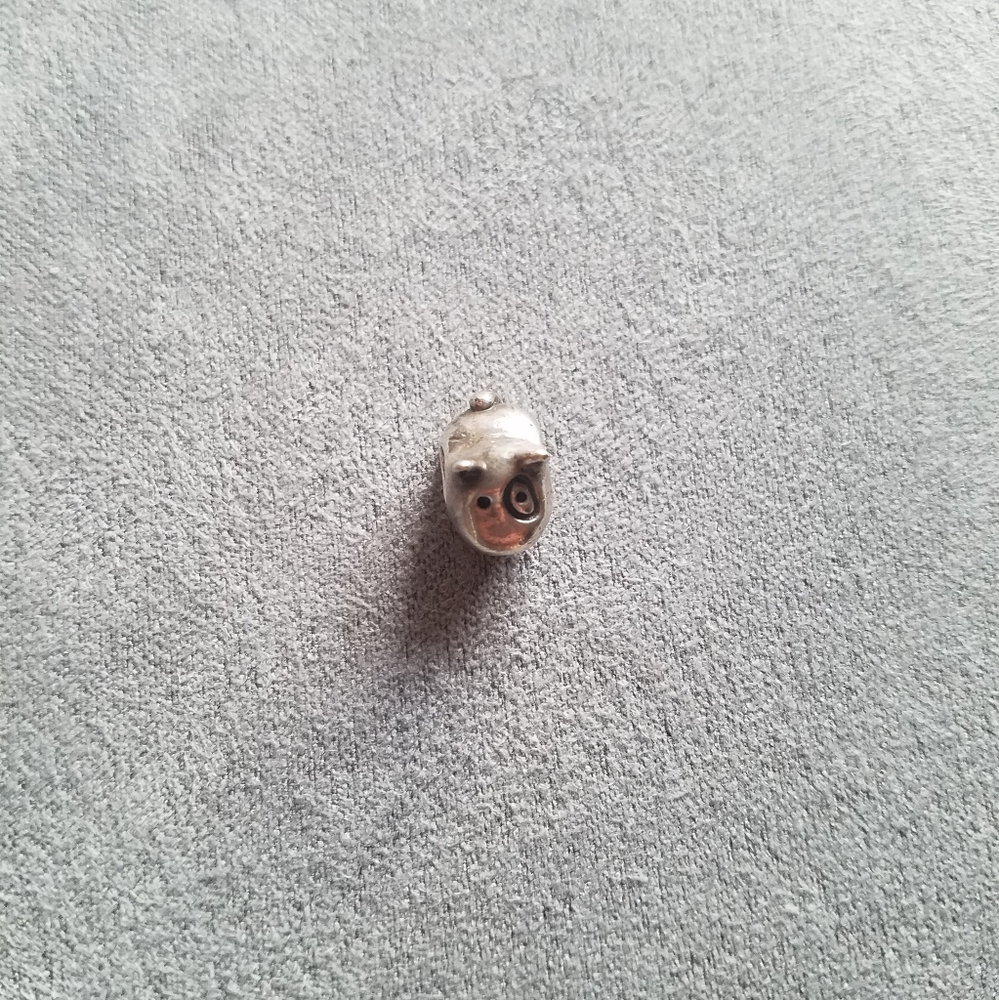 Pandora dog charm
